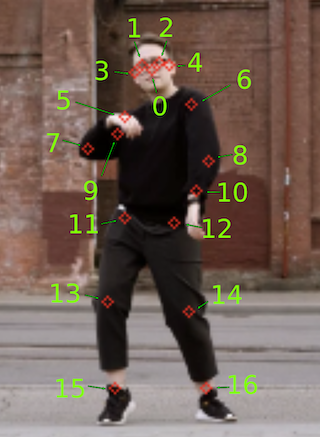 Output tensor keypoints